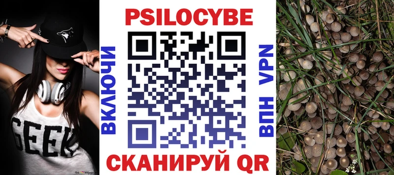 Галлюциногенные грибы Psilocybine cubensis  Купить  Онега 